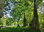 IMG_20260524_104355
