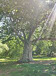 IMG_20260524_104541