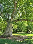IMG_20260524_104549