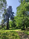 IMG_20260525_112146