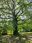 IMG_20260525_112359