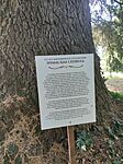 IMG_20260525_113400
