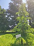 IMG_20260525_113543