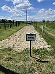 IMG_1312