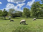 IMG_1322