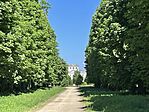 IMG_1307