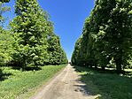 IMG_1306