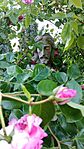 IMG_20260523_192841485