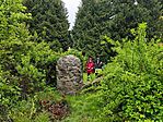 IMG_20260516_134443