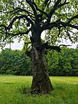 IMG_20260516_125555