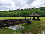 IMG_20260517_113156