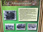 IMG_20260517_115842