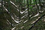 Visszfelé