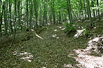 Visszfelé 