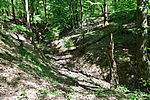 1Q2A0096