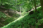 Ereszkedünk