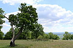 1Q2A0345