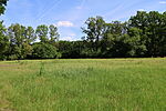 1Q2A1030