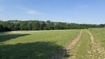 IMG_4339