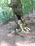 20260524_161659.jpg