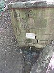 20260527_095959.jpg