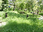 P1100039