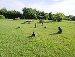 P1100086