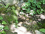 P1100106