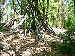 P1100138