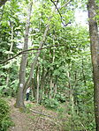 P1100249