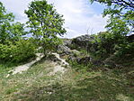 P1100291