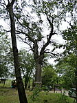 P1100381