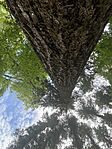 IMG-c4c2253f80b427ae8a95c069c9e6126d-V
