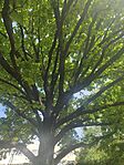 IMG_20260509_094831