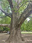 IMG_20260509_130854