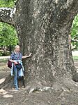IMG_20260509_131052