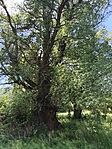 IMG_20260512_125502