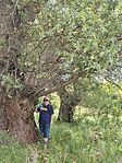IMG_20260512_125641