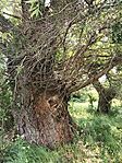 IMG_20260512_125725