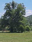 IMG_20260512_125755