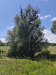 IMG_20260512_125834