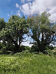 IMG_20260512_125845