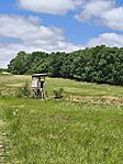 IMG_20260512_125929