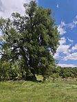 IMG_20260512_130550