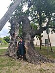 IMG_20260512_144015