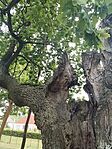 IMG_20260512_144051
