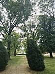 IMG_20260512_144136