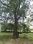 IMG_20260512_144228