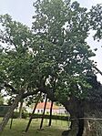 IMG_20260512_144111