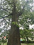 IMG_20260512_144248